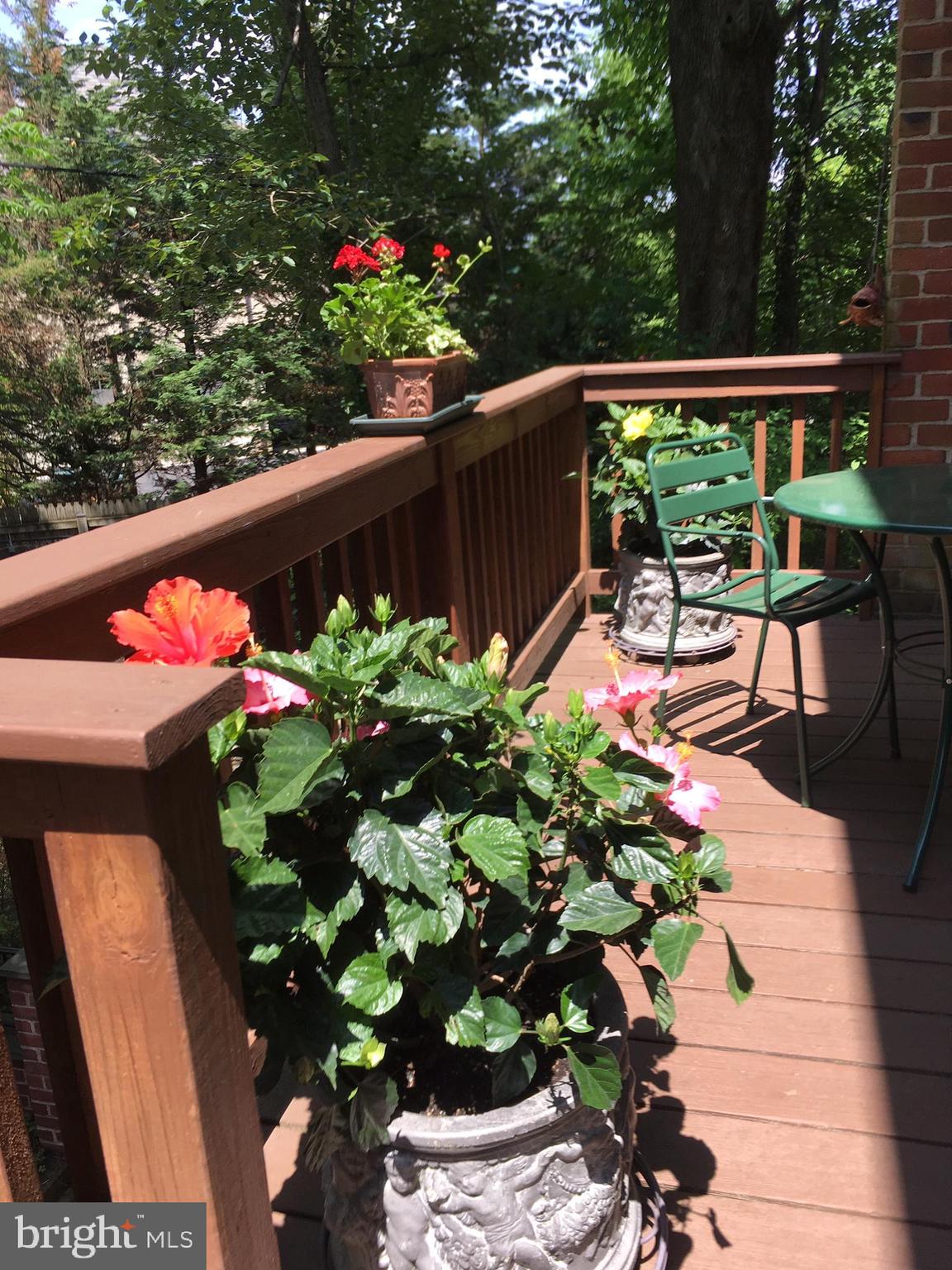 1702 Killington Road, Unit 40 Towson, MD 21204 - Photo 51 of 59 Deck with flowers in bloom