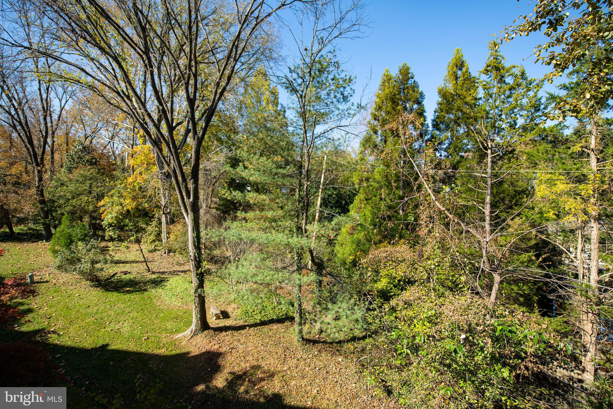 1702 Killington Road, Unit 40 Towson, MD 21204 - Photo 54 of 59 Back View