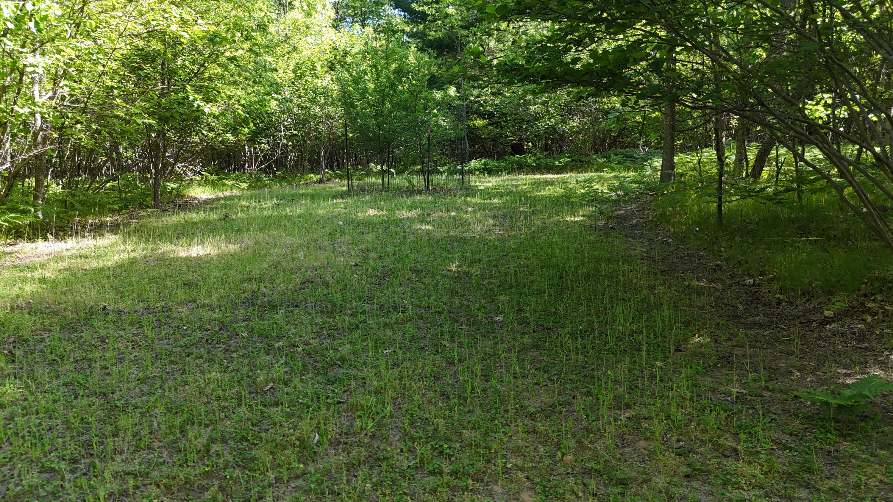 7 West Mile Road Irons, MI 49644 - Photo 4 of 49 DJI_20260604102238_0270_D