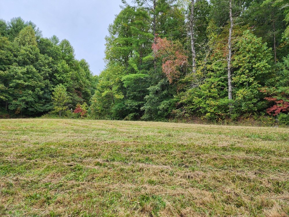 77 Graves Vly Road Murphy, NC 28906 - Photo 2 of 4