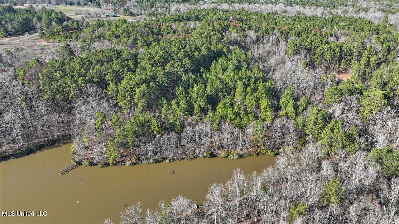 1074 Ridgeside Drive Brandon, MS 39042 - Photo 7 of 30 06-1074 Ridgeside Dr