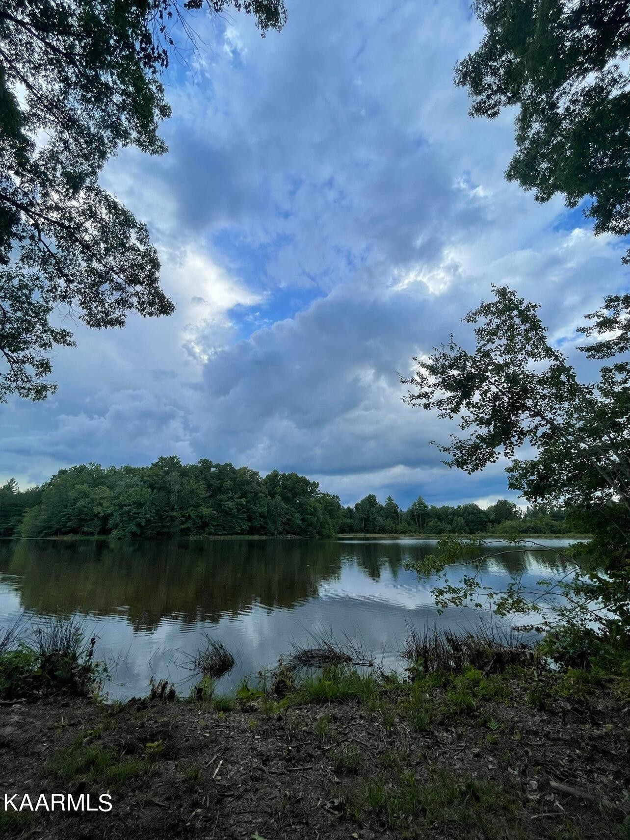 365 Hickory Road Deer Lodge, TN 37726 - Photo 11 of 15 a view of a lake with houses in the back