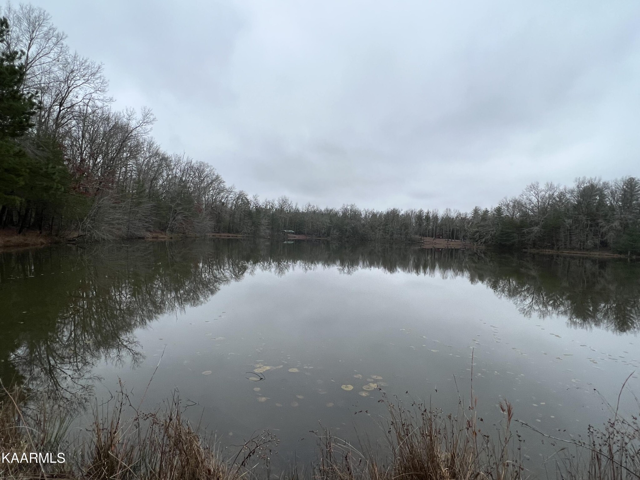 365 Hickory Road Deer Lodge, TN 37726 - Photo 12 of 15 a view of a lake