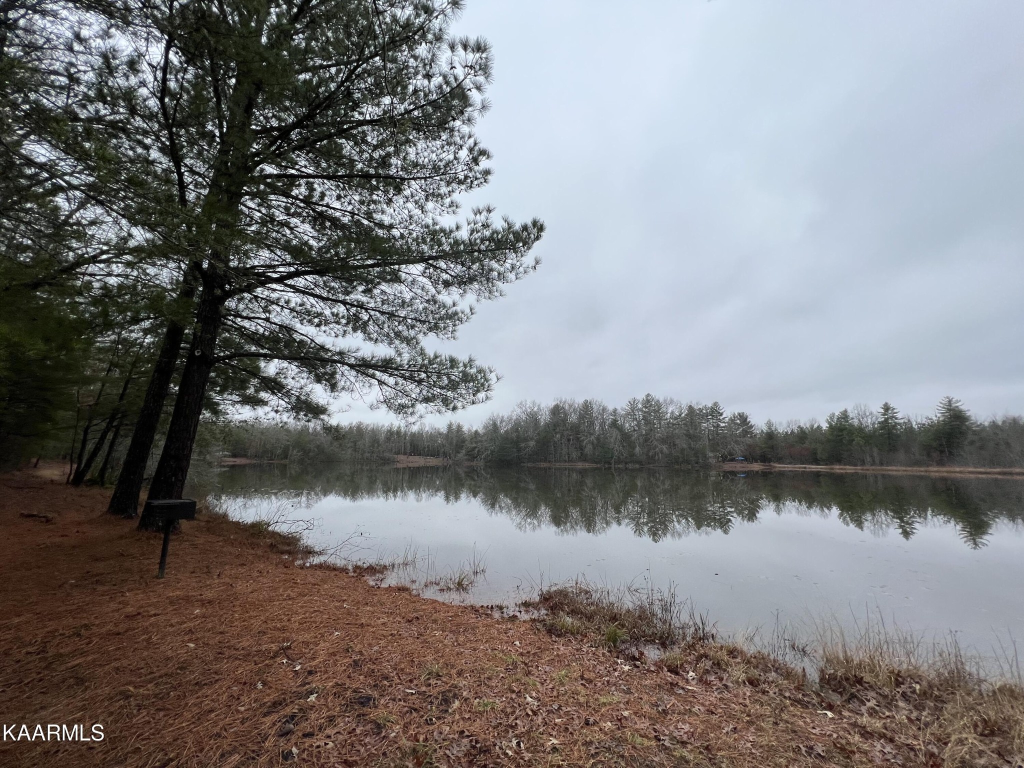 365 Hickory Road Deer Lodge, TN 37726 - Photo 13 of 15 a view of a lake with houses in the back