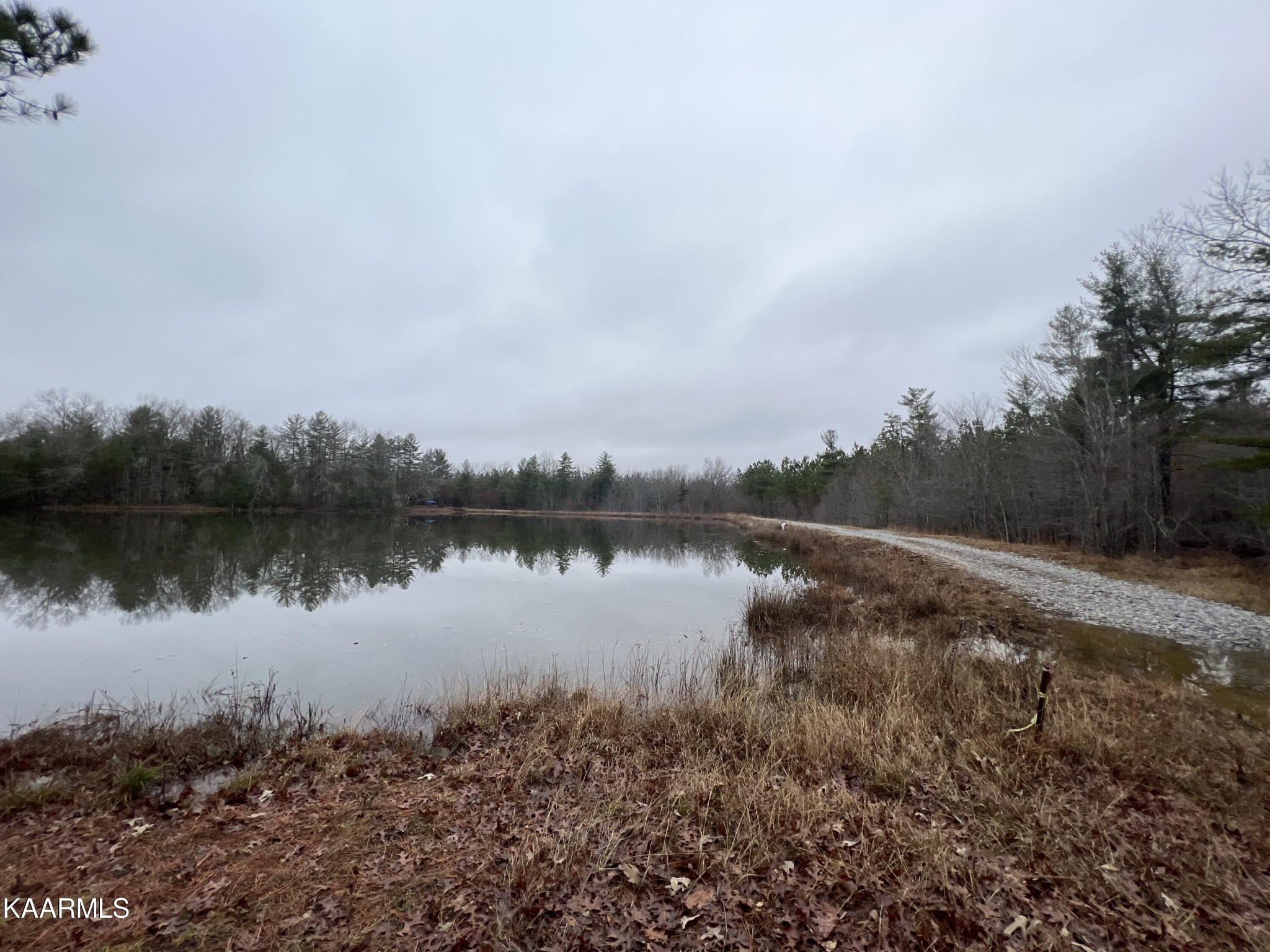 365 Hickory Road Deer Lodge, TN 37726 - Photo 14 of 15 a view of a lake in middle of forest