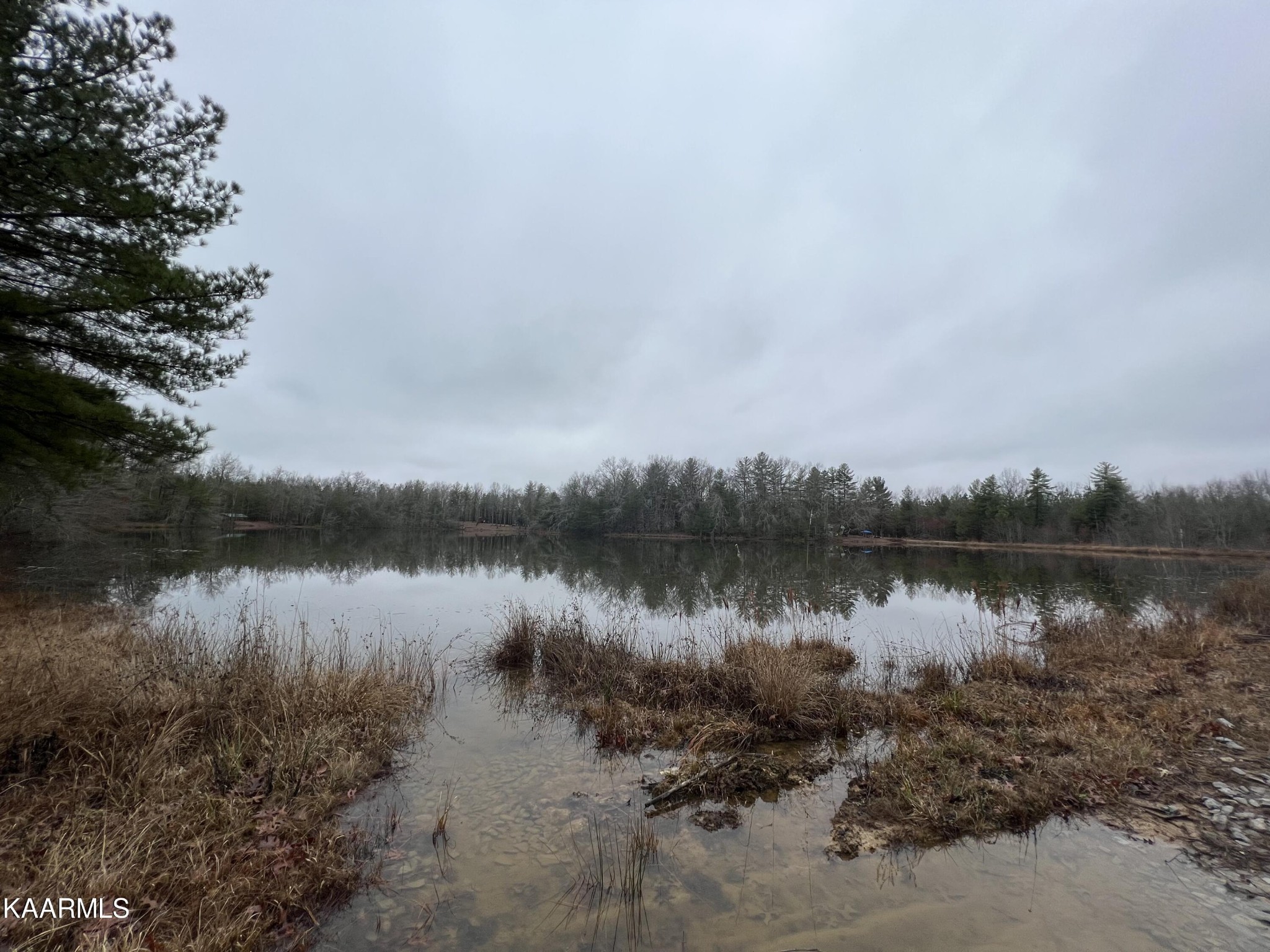365 Hickory Road Deer Lodge, TN 37726 - Photo 15 of 15 a view of a lake