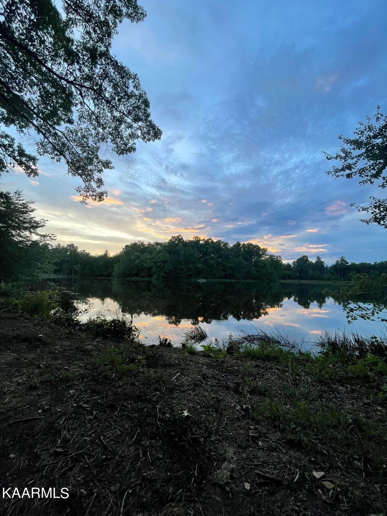 365 Hickory Road Deer Lodge, TN 37726 - Photo 10 of 15 a view of lake with green space