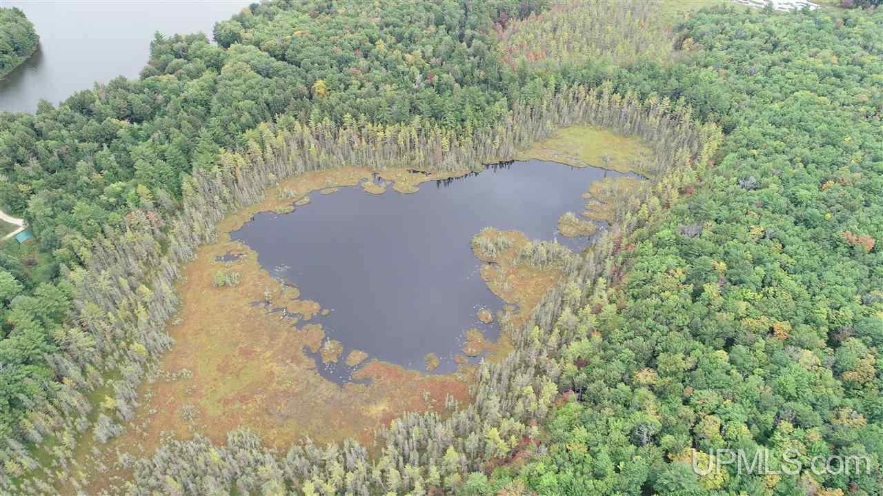 Tbd Hayward Road Munising, MI 49862 - Photo 3 of 15
