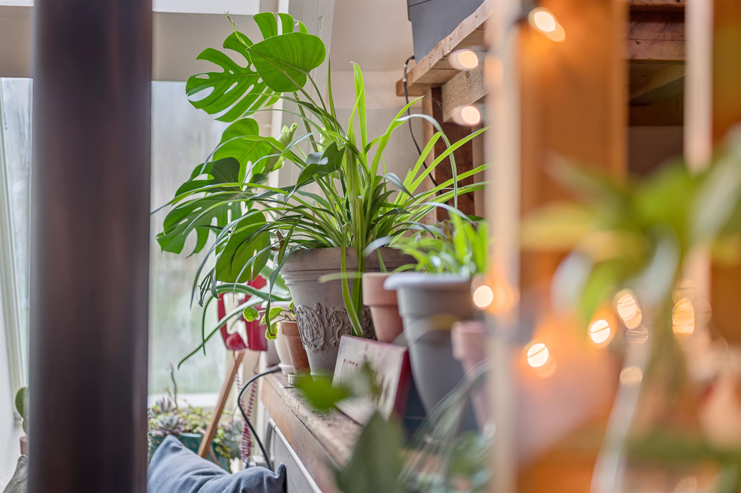 16 Dimetro Road, Unit 5 Warren, VT 05674 - Photo 15 of 55