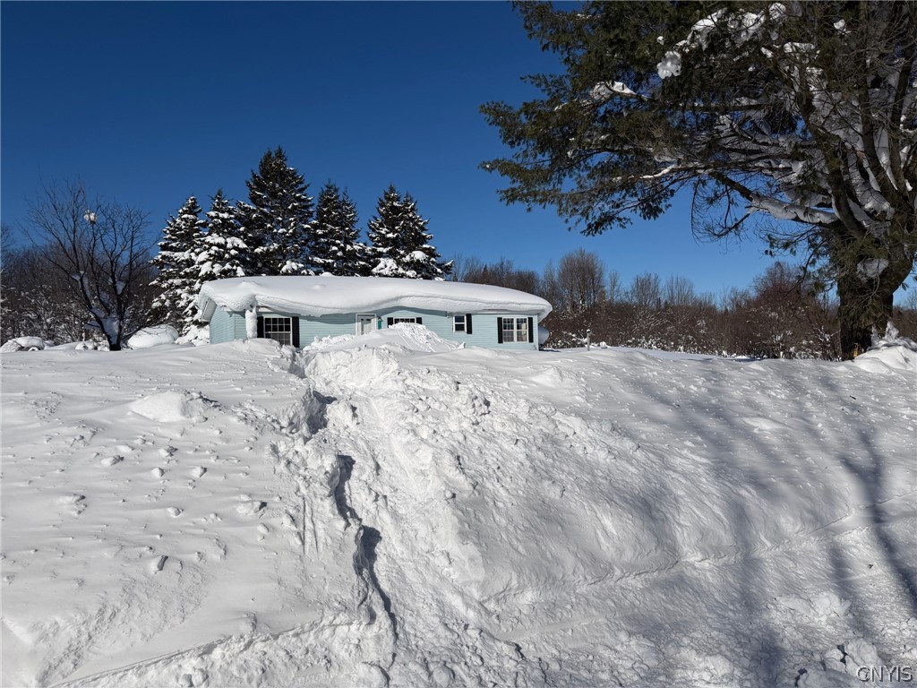 5679 Salmon River Road Montague, NY 13367 - Photo 29 of 31 snowbank at road~bring your snowshoes & shovel!