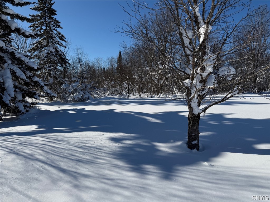 5679 Salmon River Road Montague, NY 13367 - Photo 5 of 31