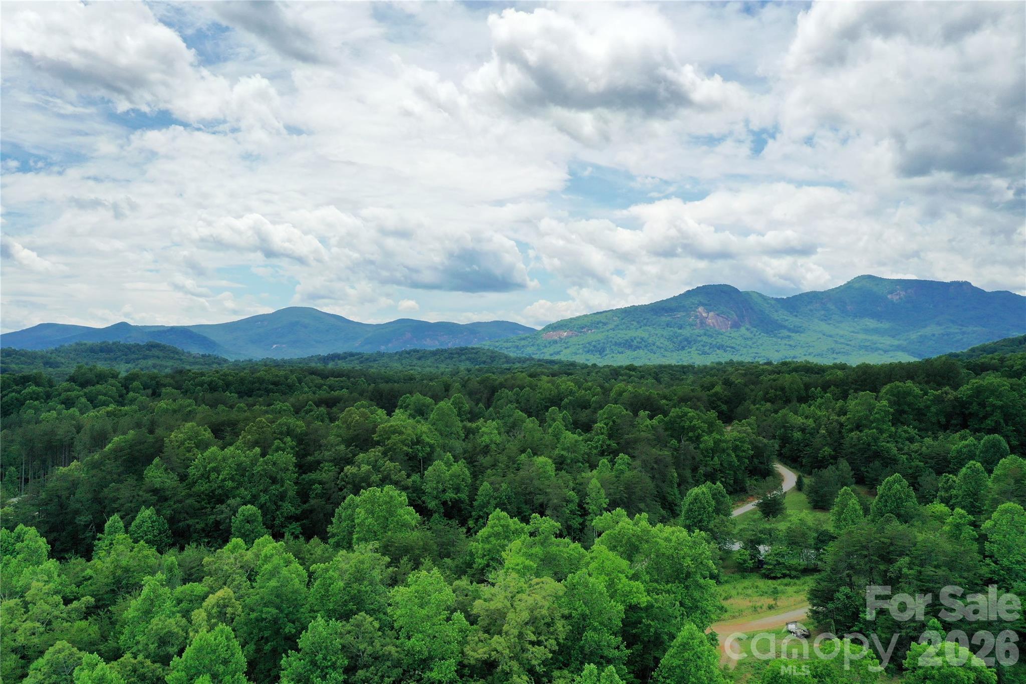 0 Herman Wilson Road Lake Lure, NC 28746 - Photo 7 of 22