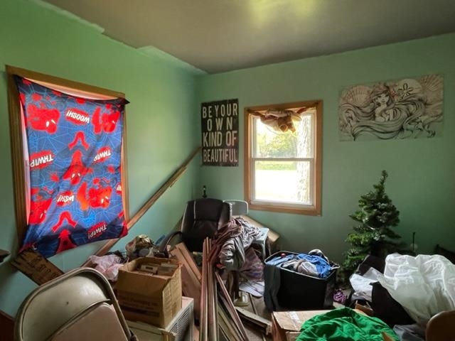 1102 1st Avenue Rochelle, IL 61068 - Photo 8 of 19 a room with furniture and a potted plant