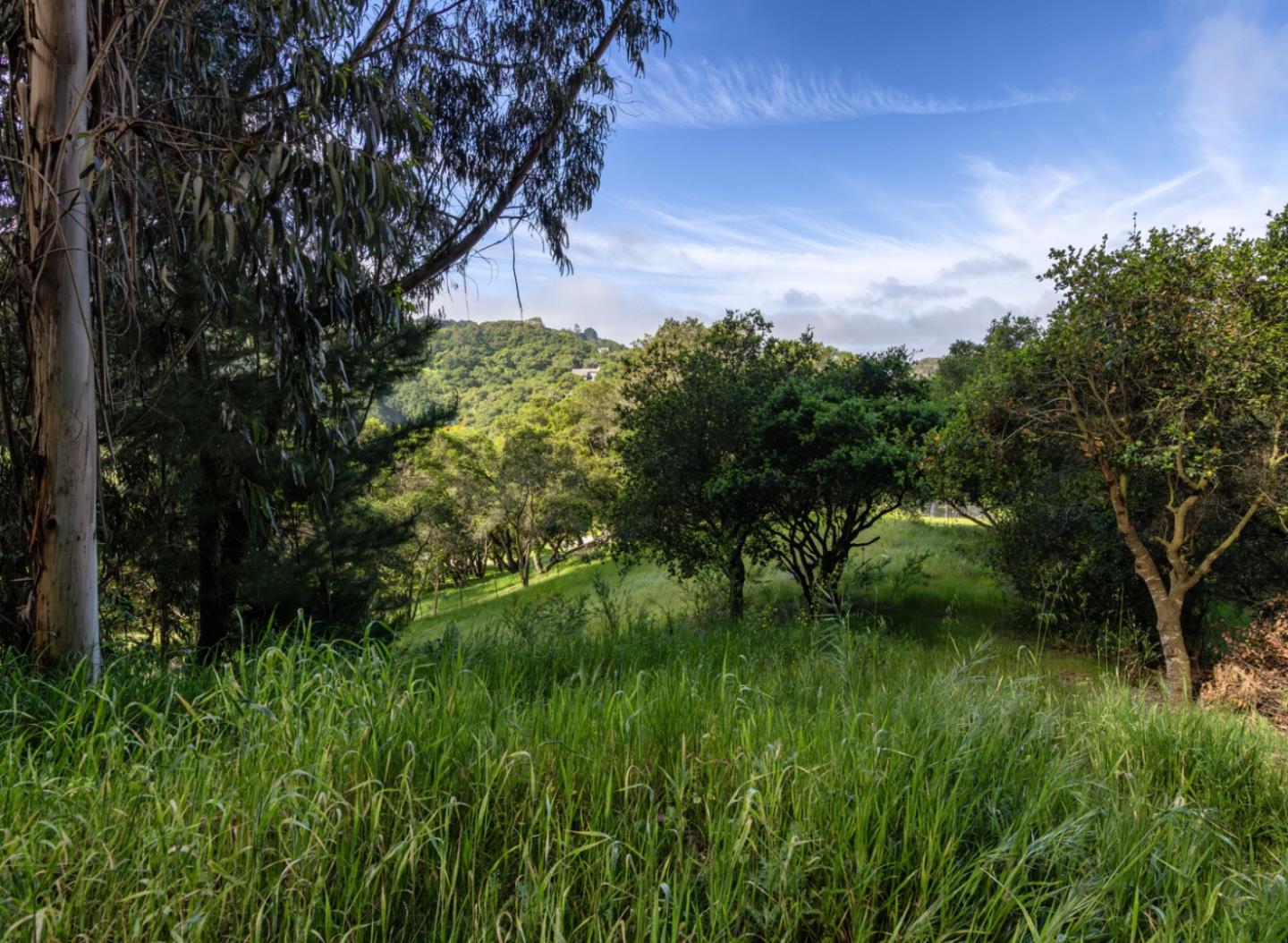 14440 Ridgecrest Road Watsonville, CA 95076 - Photo 24 of 37 Gallery Image 24