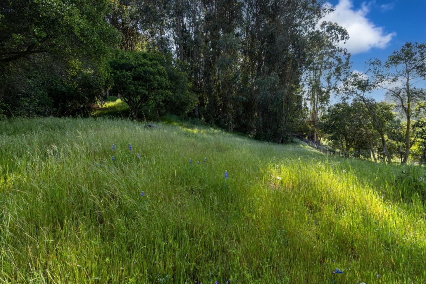 14440 Ridgecrest Road Watsonville, CA 95076 - Photo 25 of 37 Gallery Image 25