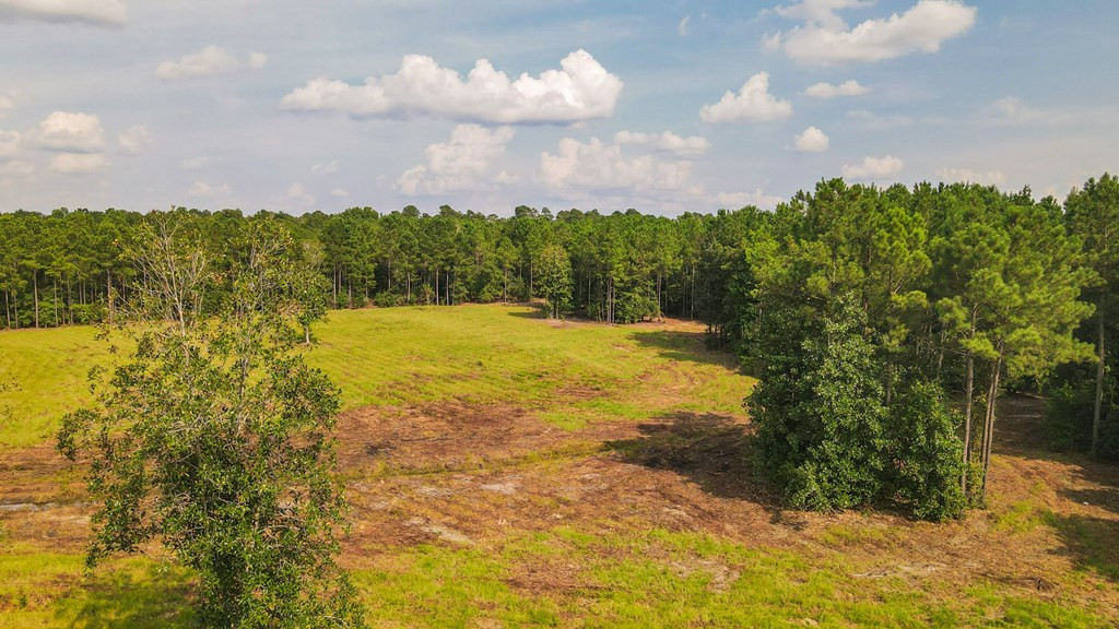 241 Voyager Road Salley, SC 29137 - Photo 28 of 31