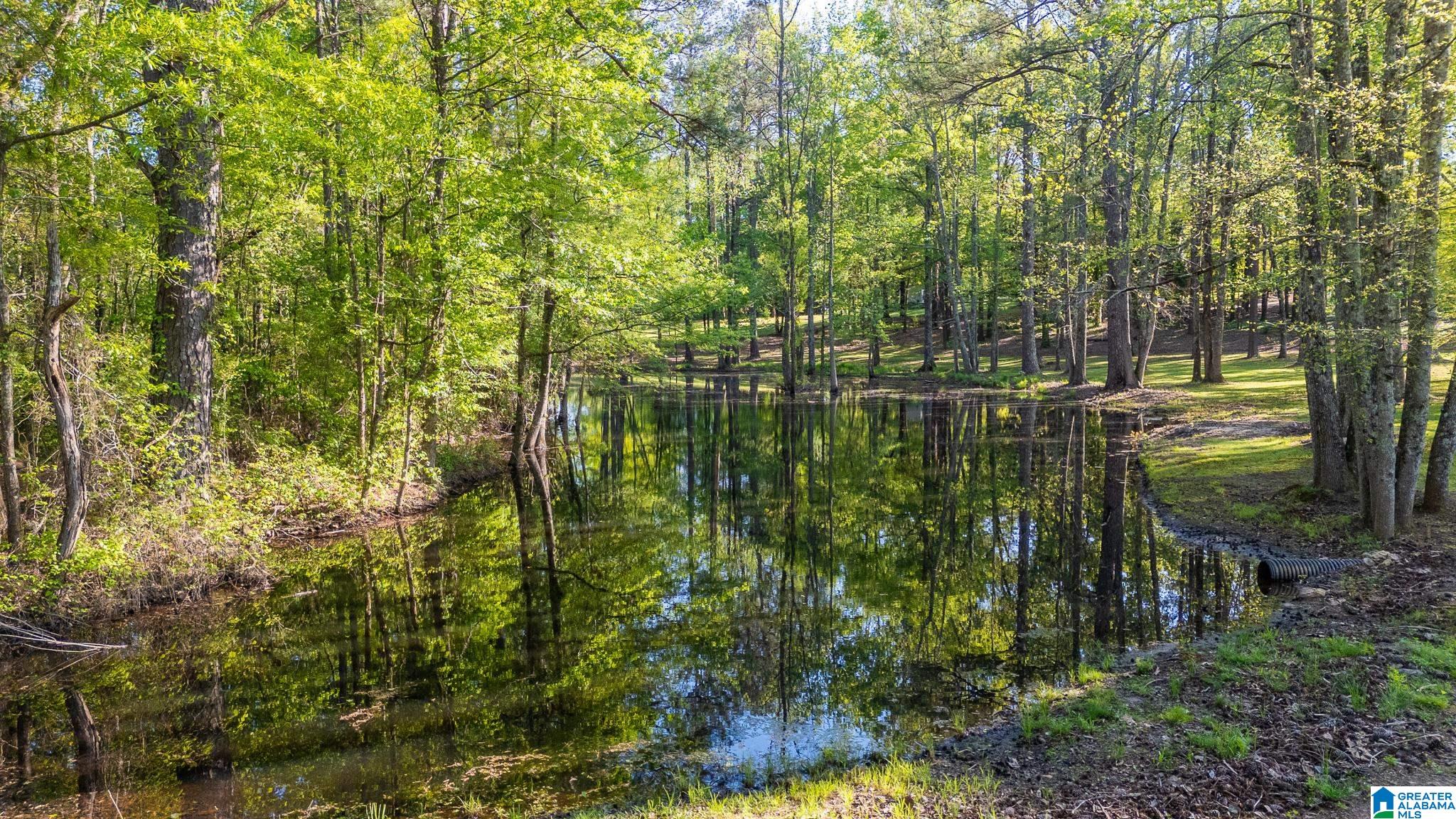 4435 Renfroe Road Talladega, AL 35160 - Photo 90 of 99 Gallery Image 90