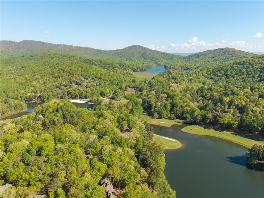 135 Chestnut Rise Trail, Unit 441C Jasper, GA 30143 - Photo 11 of 54