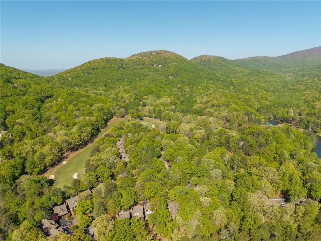 135 Chestnut Rise Trail, Unit 441C Jasper, GA 30143 - Photo 12 of 54