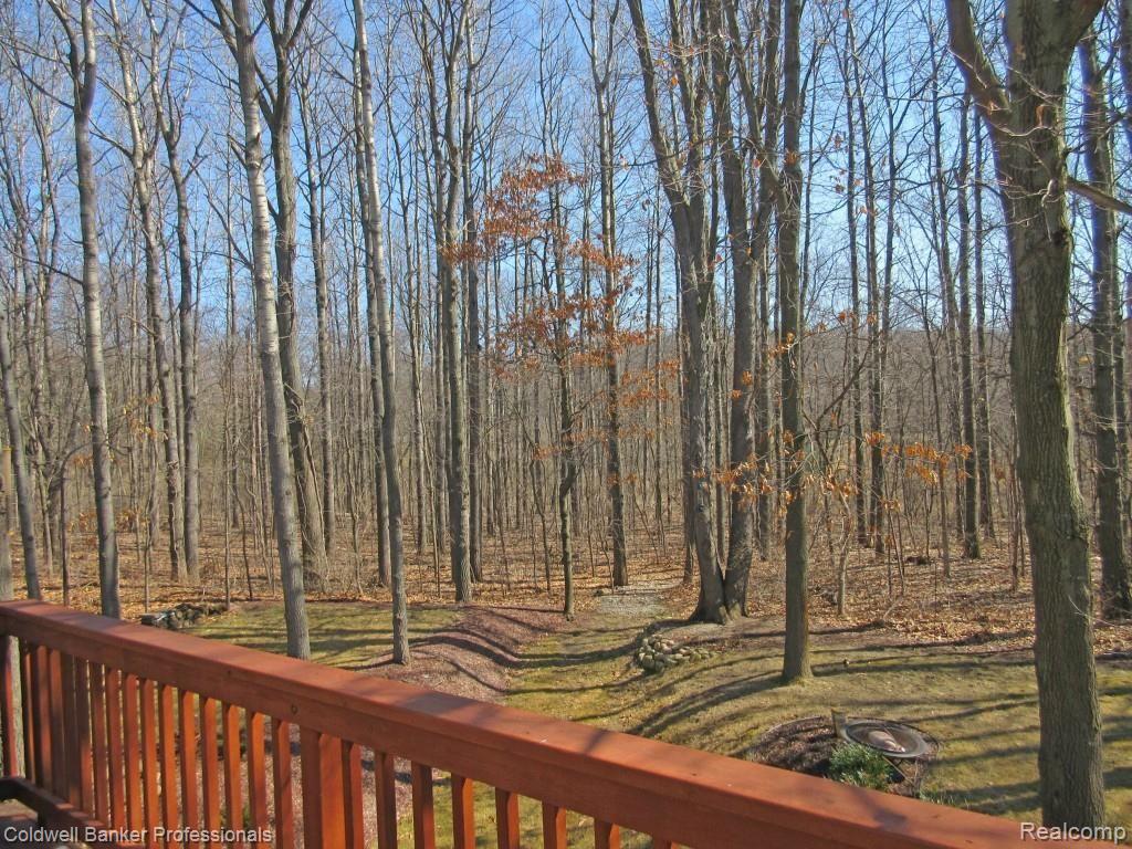 7558 Timber Ridge Court Dexter, MI 48130 - Photo 3 of 50 MLS3.jpg