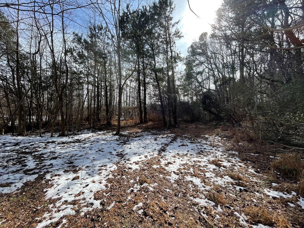 3.65 Old Neck Road, Unit 1 Weems, VA 22576 - Photo 12 of 35