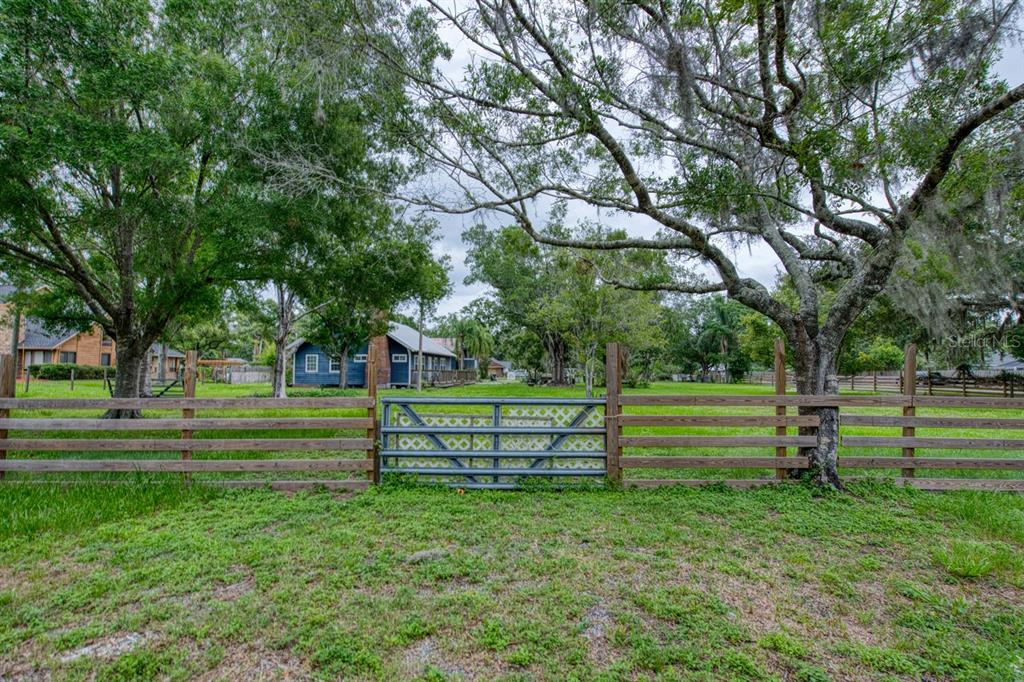 17321 Simmons Road Lutz, FL 33548 - Photo 30 of 40