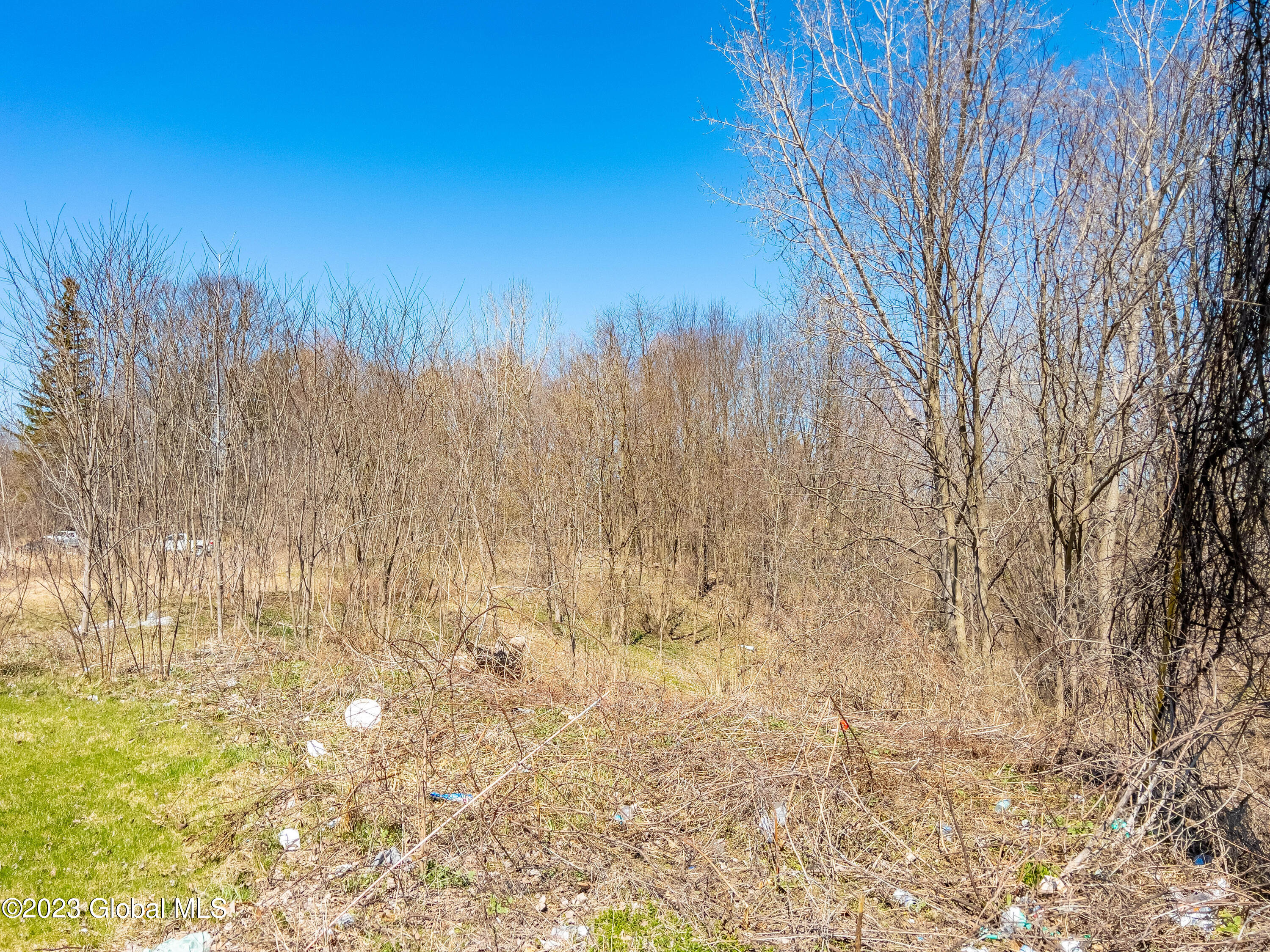 957 Troy-Schenectady Road Colonie, NY 12110 - Photo 4 of 7 IMG_0772