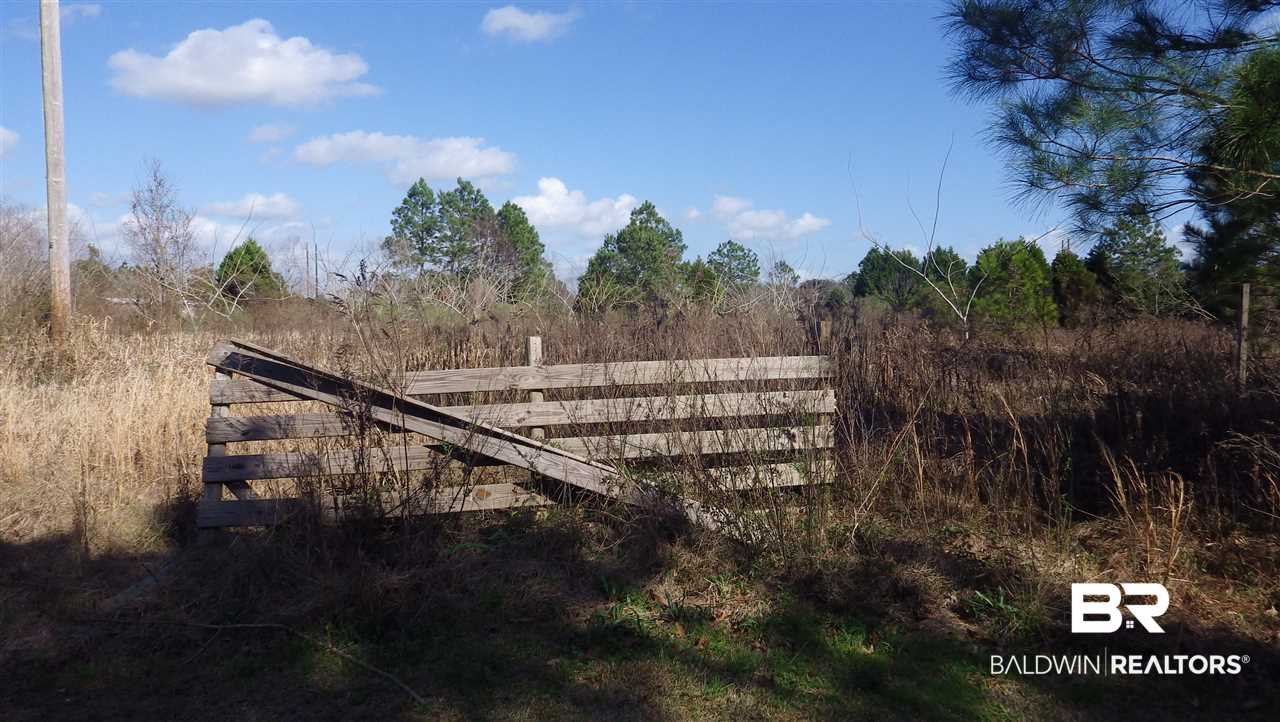 26665 Bruhn Road Elberta, AL 36530 - Photo 7 of 8