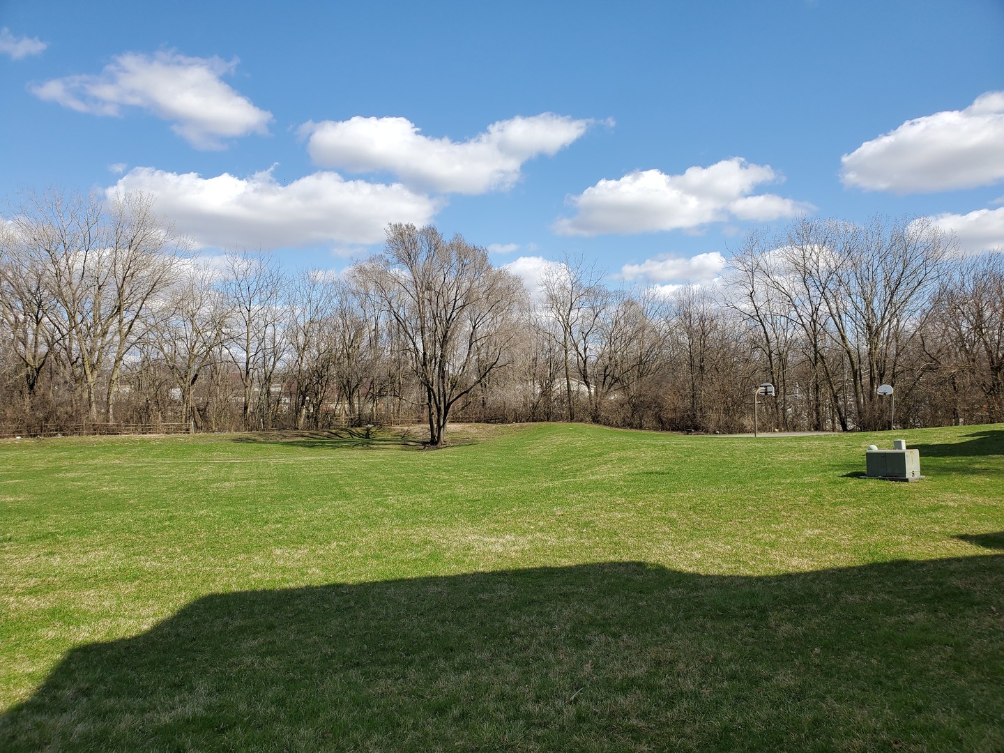 700 North Adelaide Street, Unit 49 Normal, IL 61761 - Photo 13 of 15 a view of a golf course with a lake