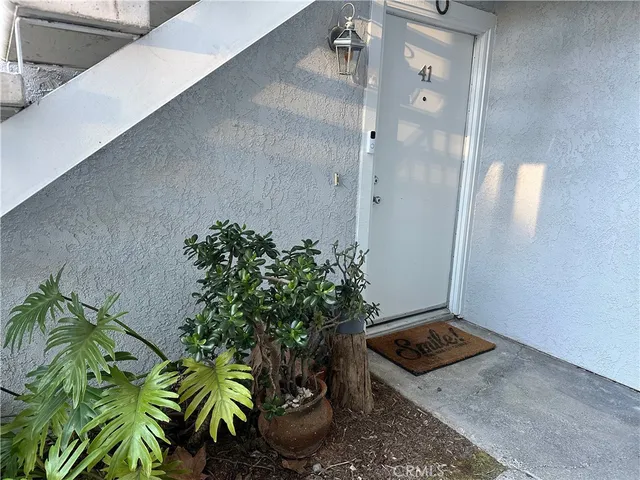 view of a potted plant in a room