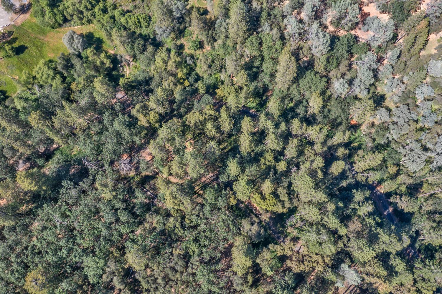 2469 Secret Ravine Trail Cool, CA 95614 - Photo 71 of 80