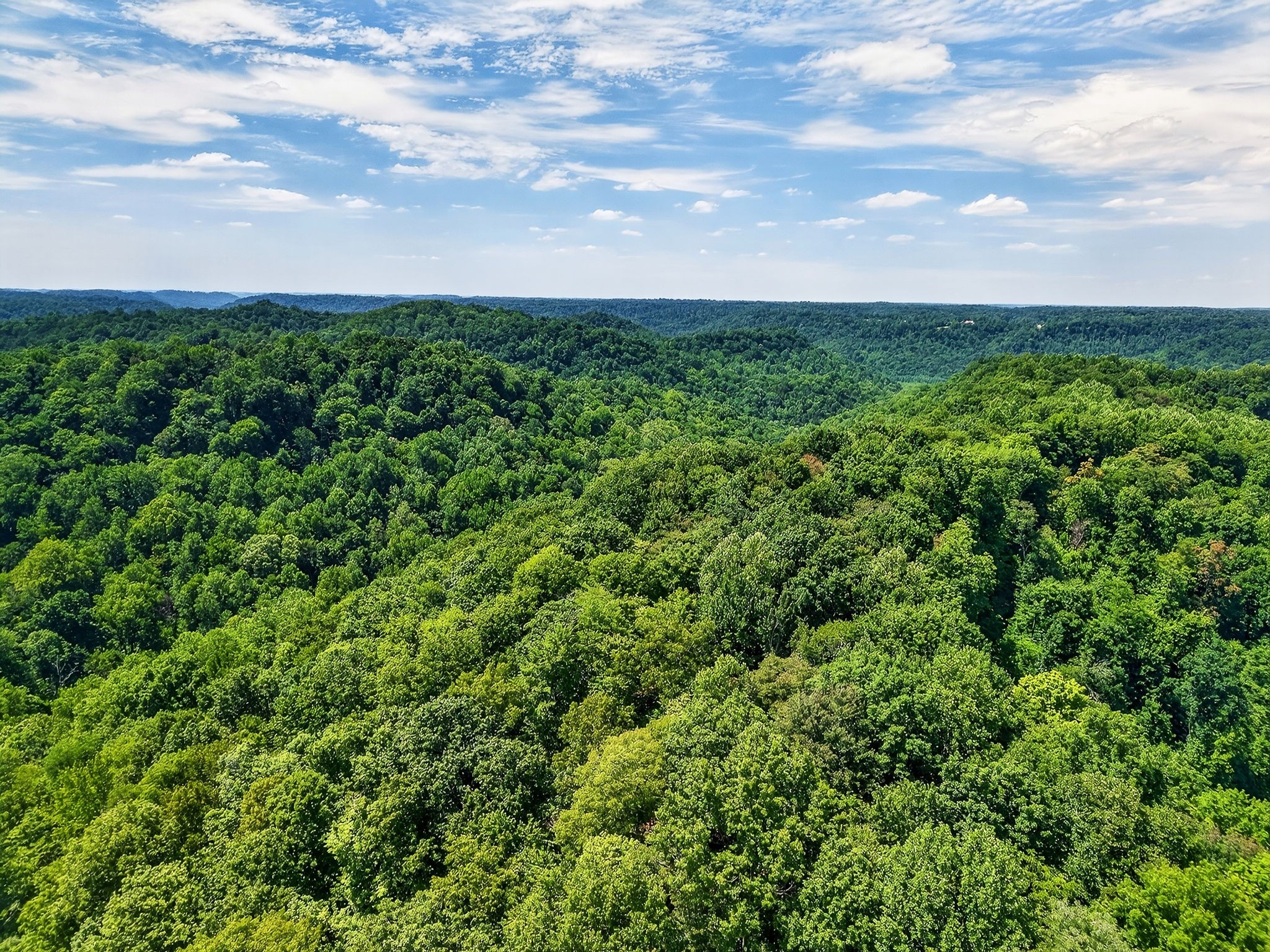 2926 Bryant Ridge Road Baxter, TN 38544 - Photo 56 of 64