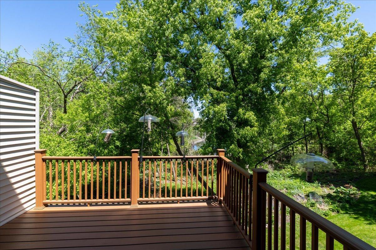 15595 Cherry Path Rosemount, MN 55068 - Photo 10 of 36