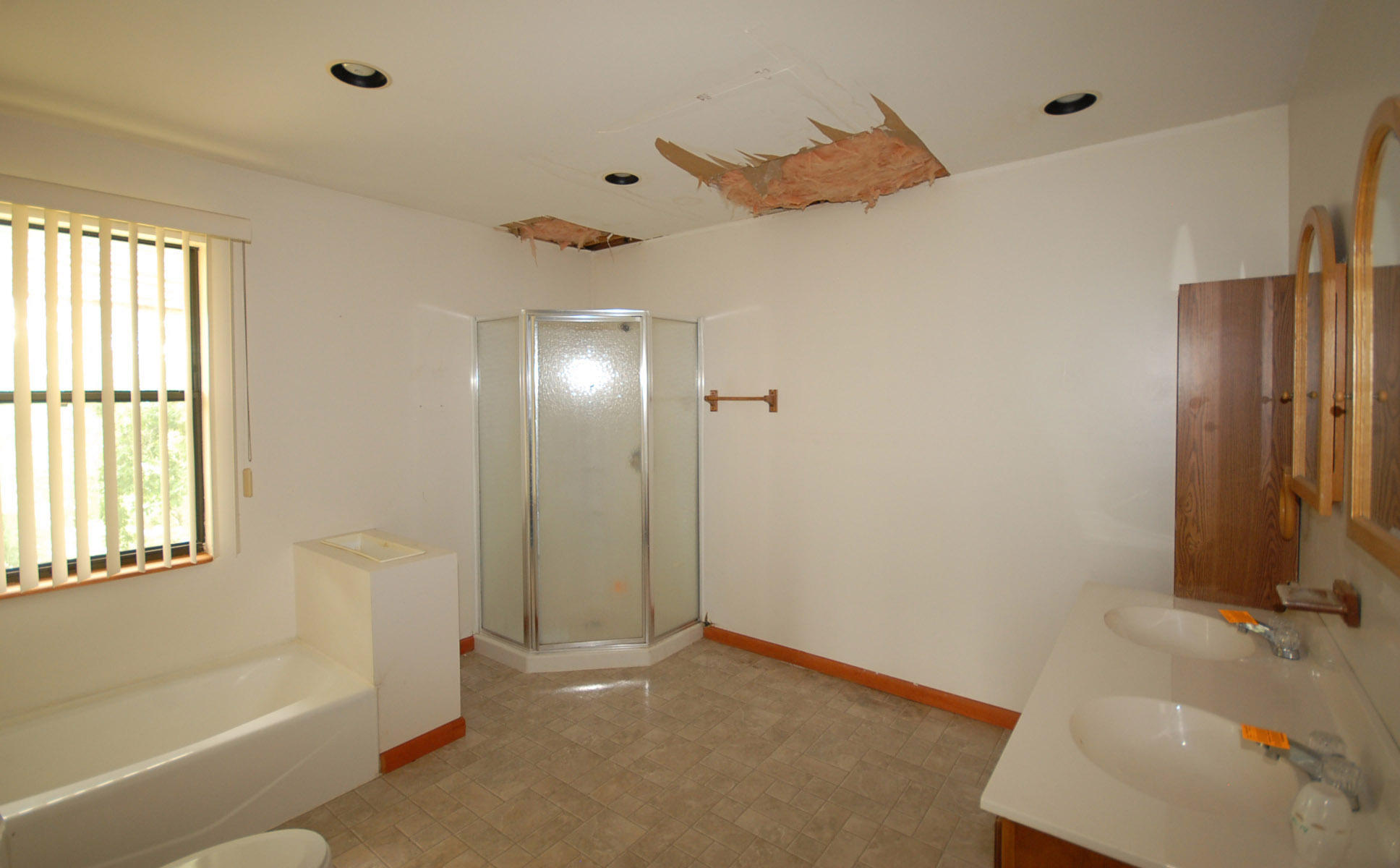 263 Reece Lane Seymour, TN 37865 - Photo 7 of 14 master bath