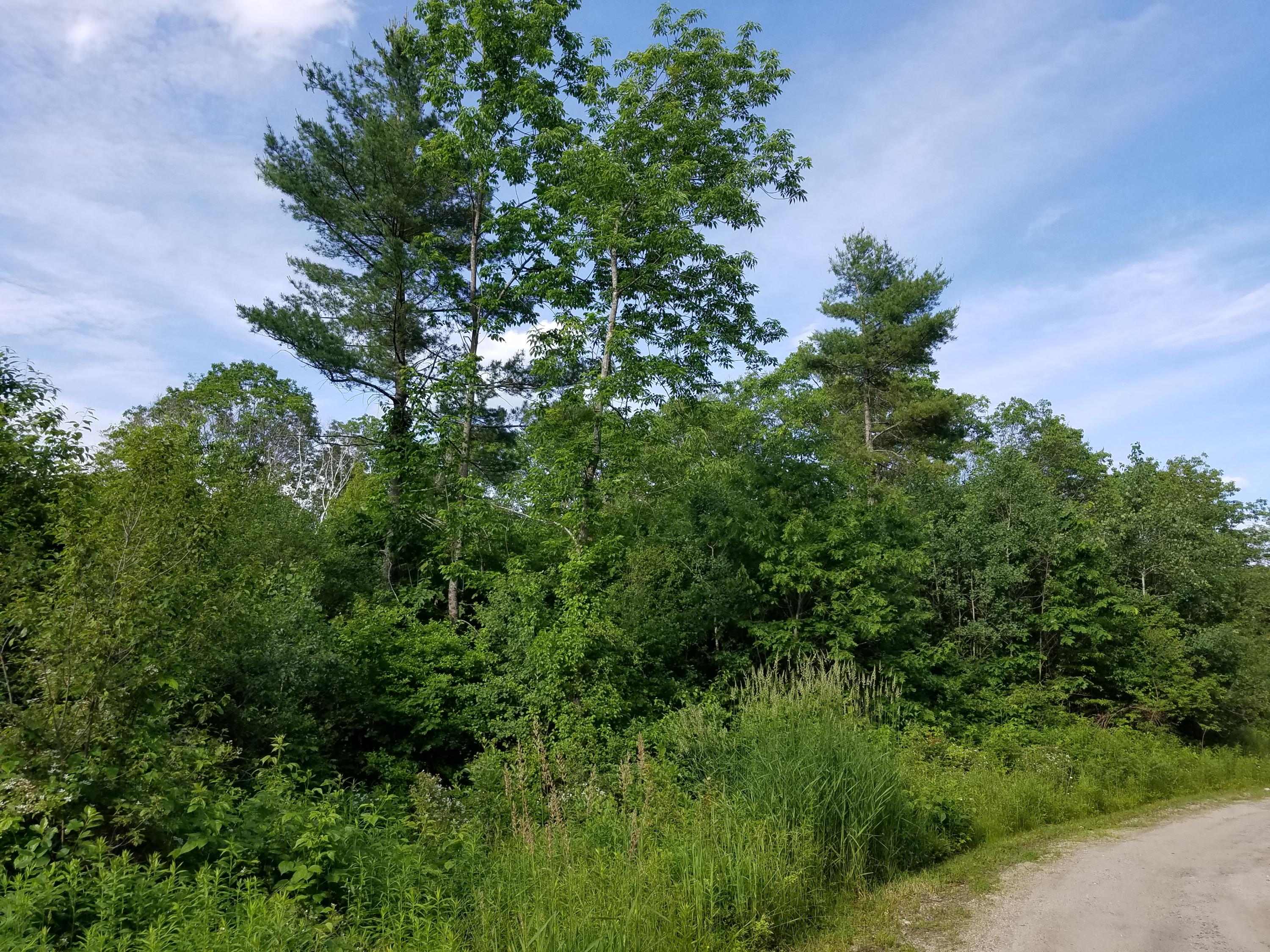 0 Turkey Ridge Lane Freeport, ME 04032 - Photo 8 of 8 20170622_171010