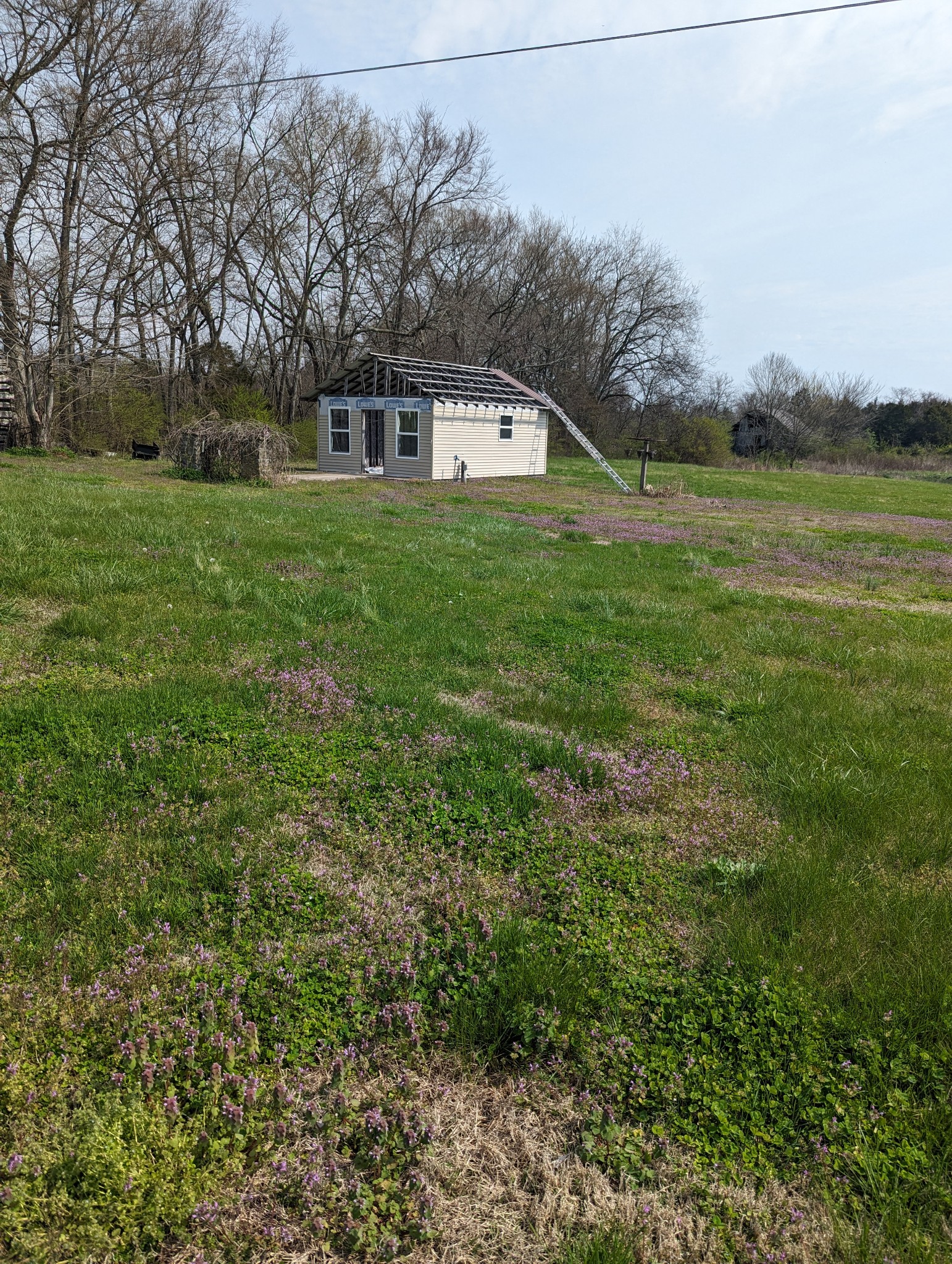 13702 Versailles Road Rockvale, TN 37153 - Photo 16 of 17 Shed behind the house that is almost complete and you can remodel it to fit your needs.