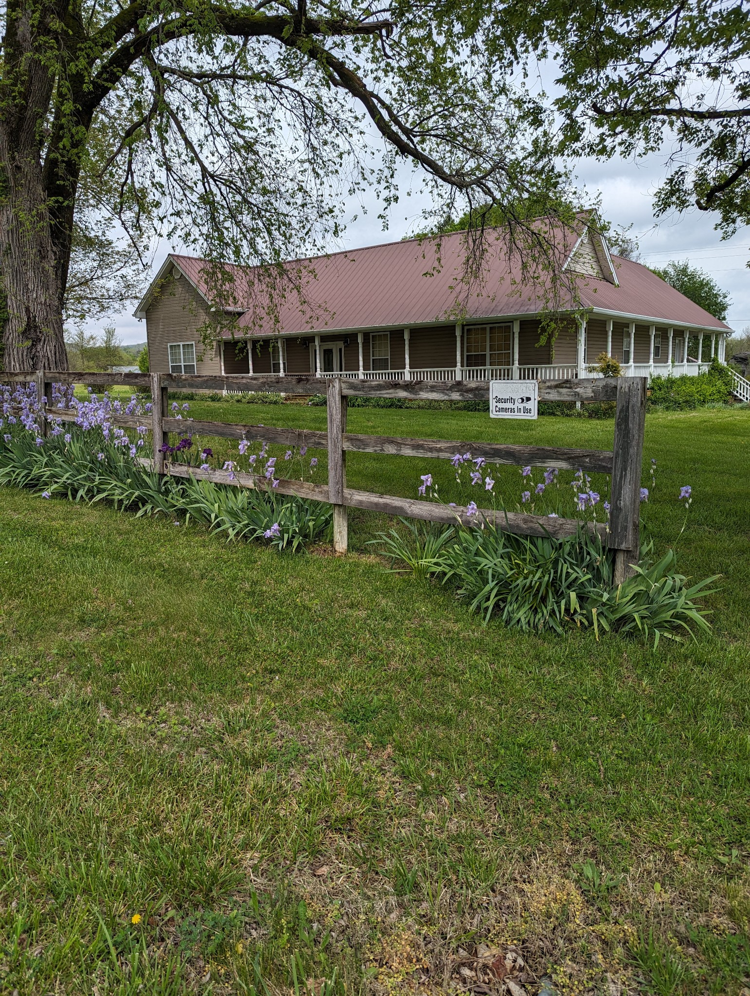 13702 Versailles Road Rockvale, TN 37153 - Photo 4 of 17 Come see this 8.54 acres in beautiful Rockvale that could be your slice of heaven. These beautiful blooming flowers stay with the home.