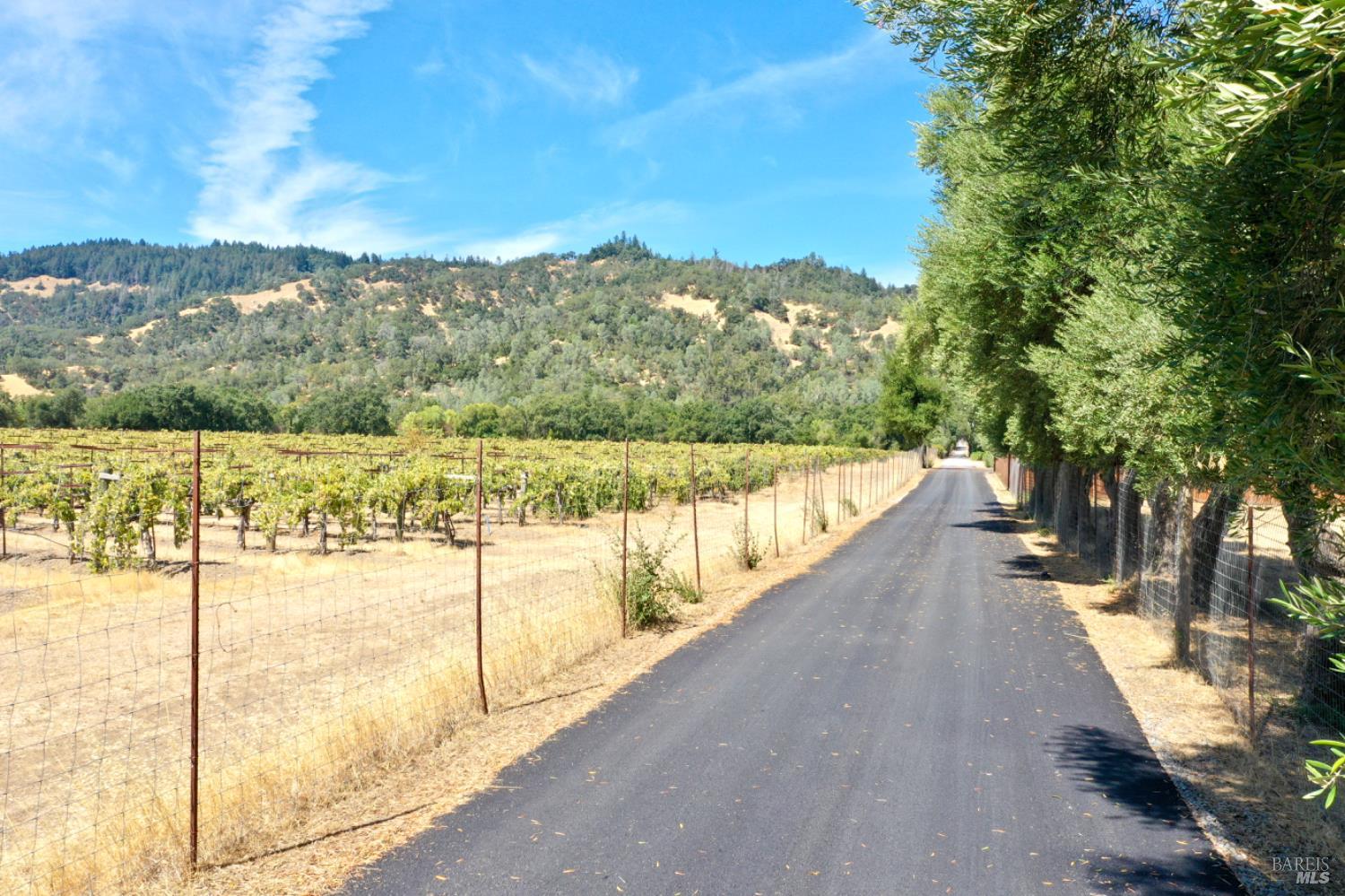 31258 Highway 128 Cloverdale, CA 95425 - Photo 11 of 88