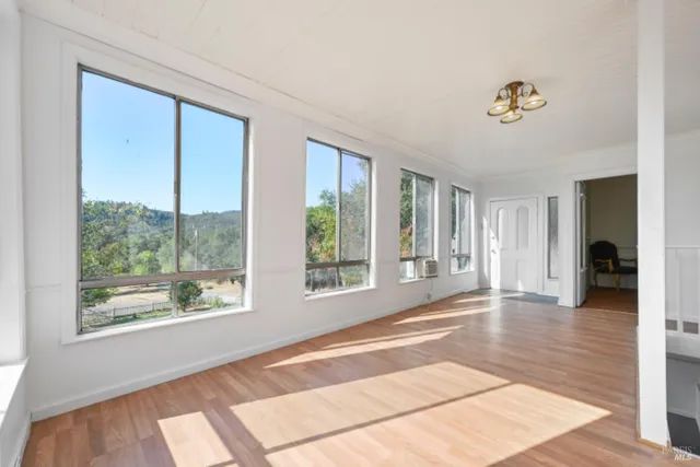 a view of a yard with trees