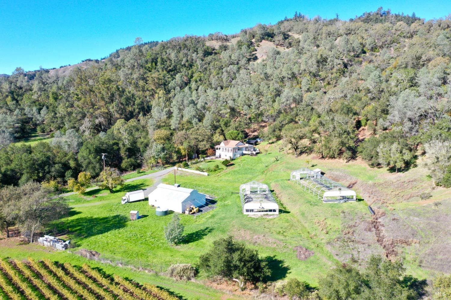 31258 Highway 128 Cloverdale, CA 95425 - Photo 4 of 88 a view of a bunch of trees with yard