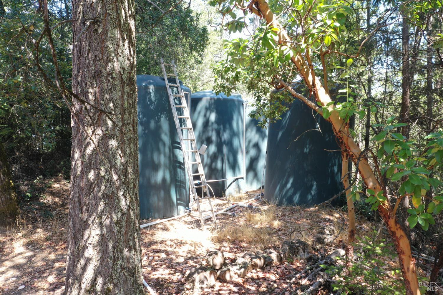 31258 Highway 128 Cloverdale, CA 95425 - Photo 55 of 88 a view of a tree in front of a house