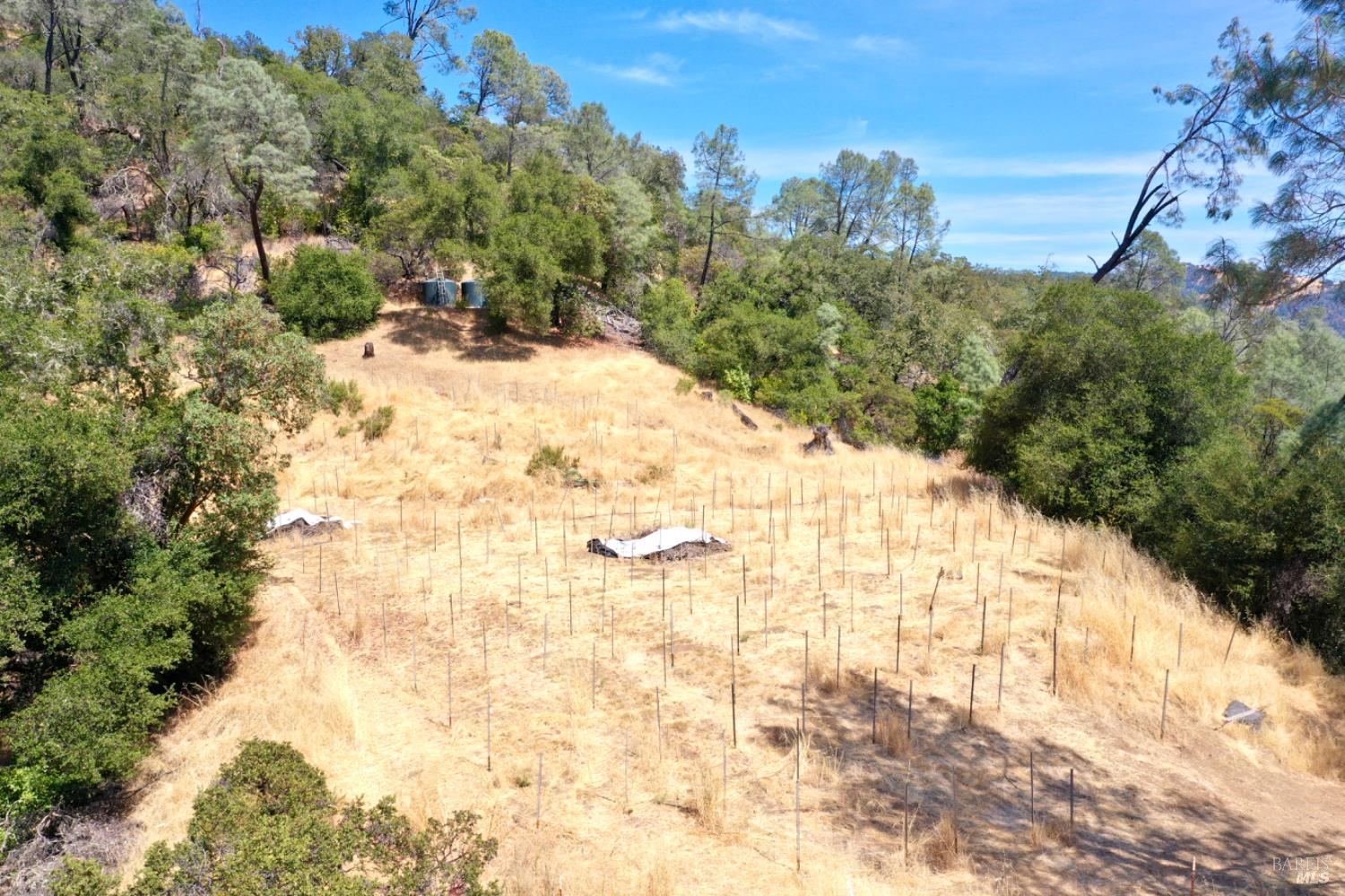 31258 Highway 128 Cloverdale, CA 95425 - Photo 60 of 88