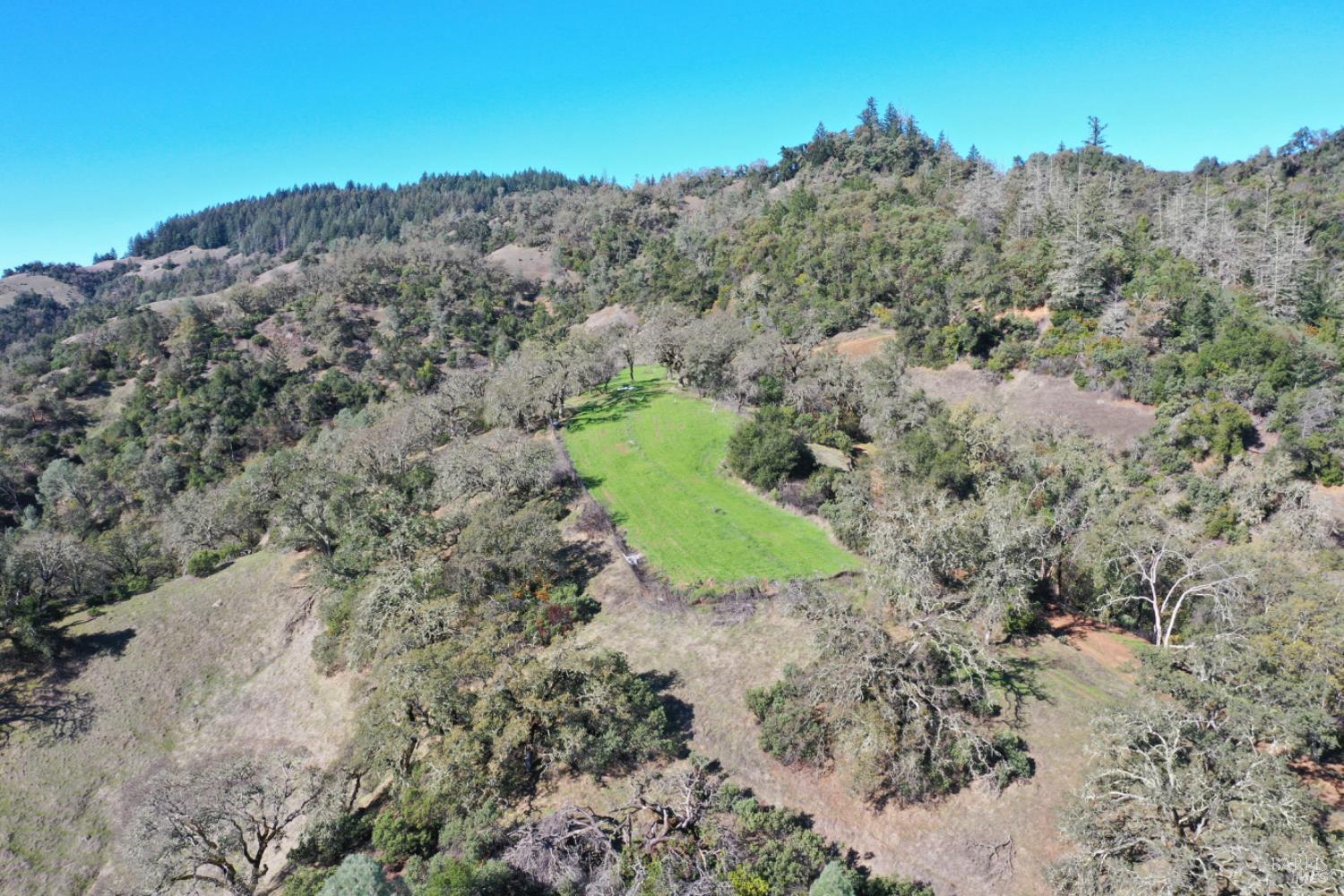 31258 Highway 128 Cloverdale, CA 95425 - Photo 8 of 88 a view of a field with a tree in the background