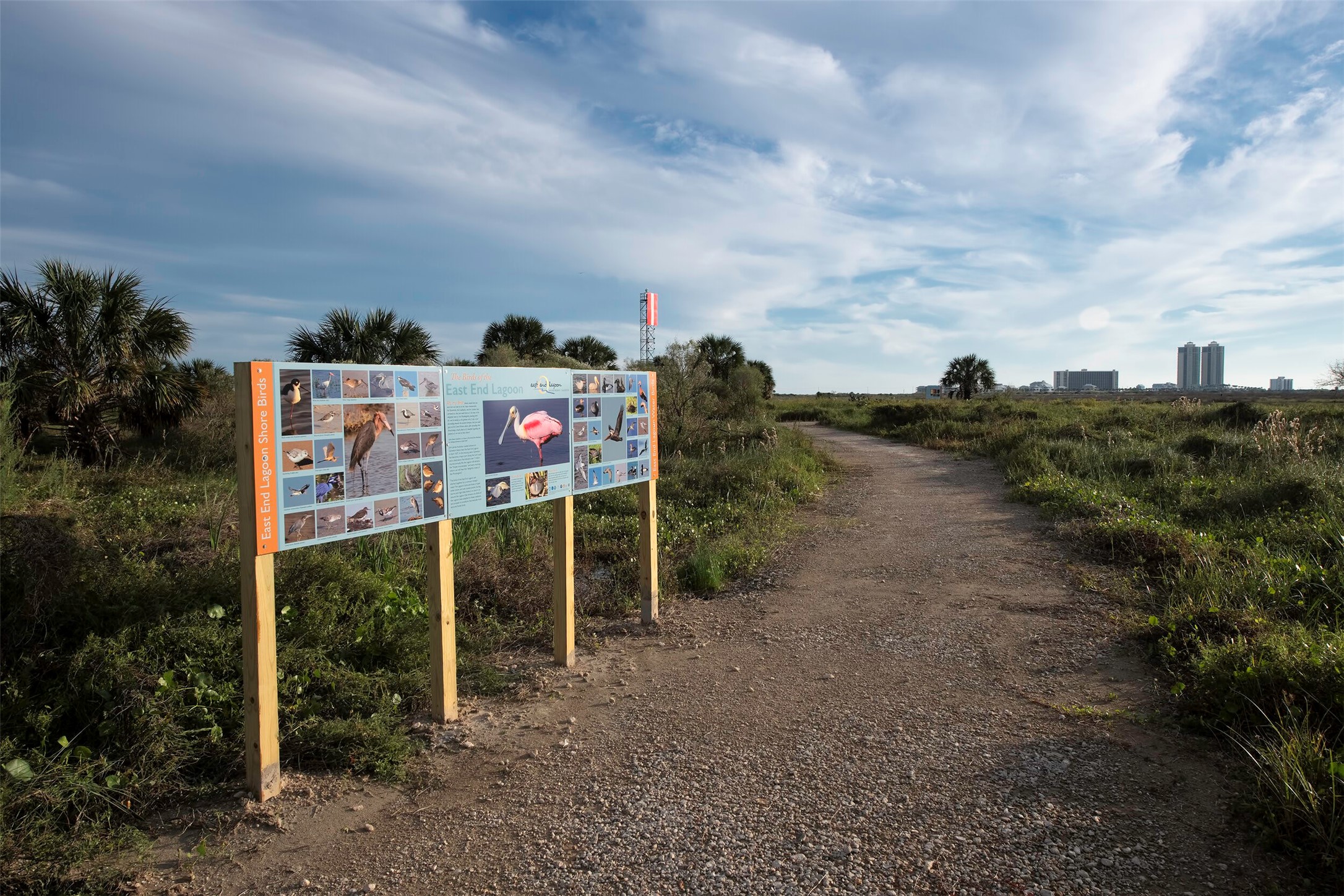 726 Positano Road Galveston, TX 77550 - Photo 7 of 20 a view of a outdoor space
