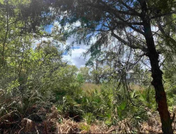 $210,000 | 2990 Pristine Drive, Eastpoint, FL 32328