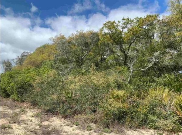 $210,000 | 2990 Pristine Drive, Eastpoint, FL 32328