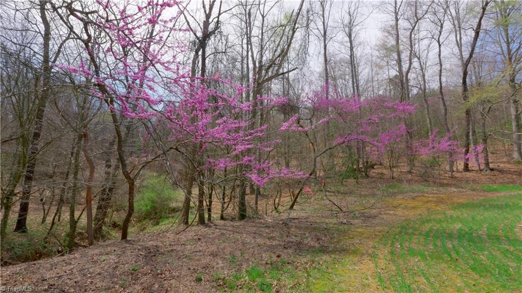 335 Phillips Road Dobson, NC 27017 - Photo 18 of 34