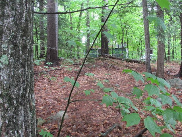 104 Pine Beach Road Belgrade, ME 04917 - Photo 20 of 21 land with view of shed in the...