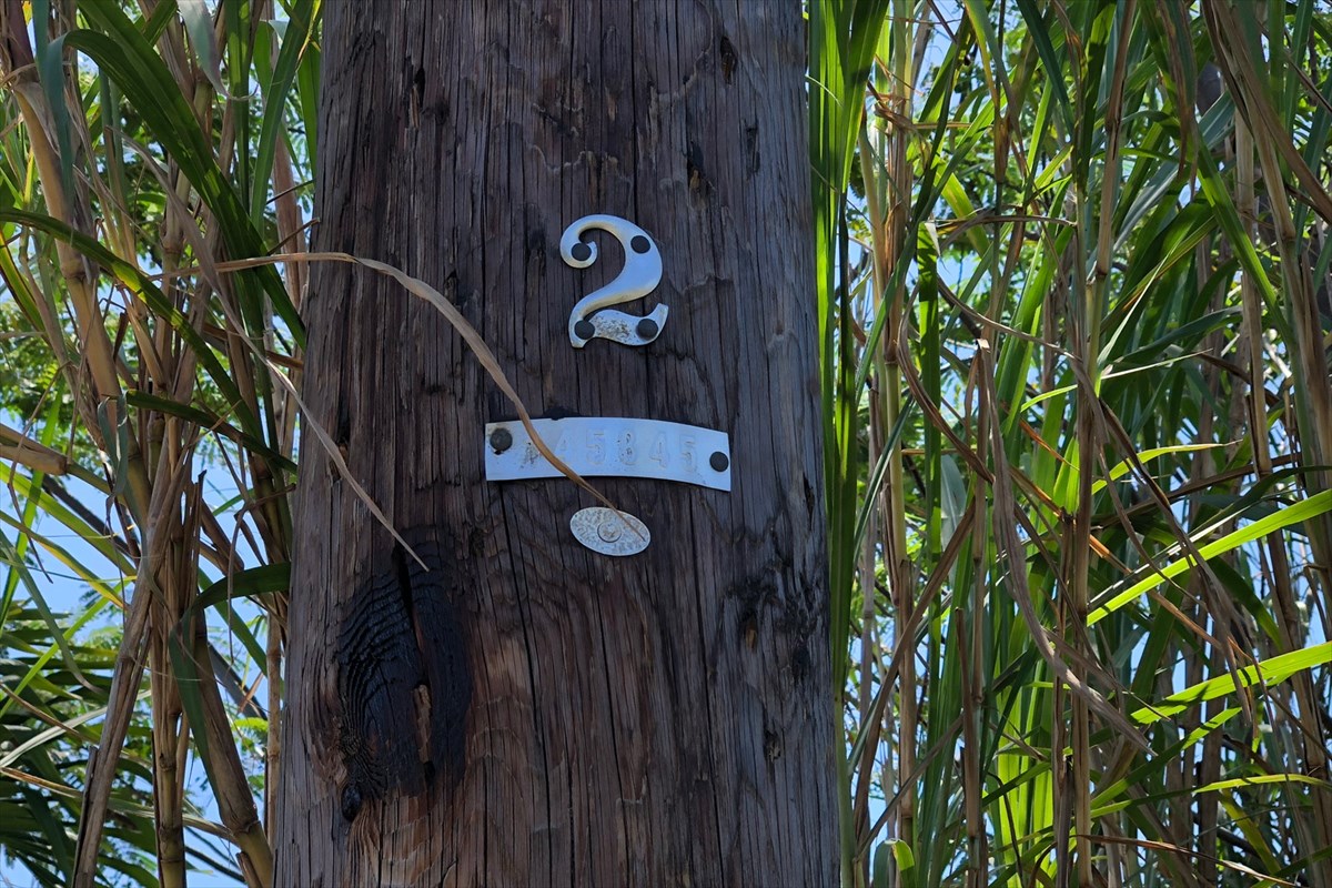 3058 Noni Road Keaau, HI 96749 - Photo 20 of 20 Gallery Image 20