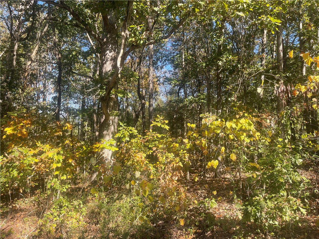 Tract E Vine Road Westminster, SC 29693 - Photo 11 of 11